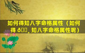 如何得知八字命格属性（如何得 🕸 知八字命格属性呢）